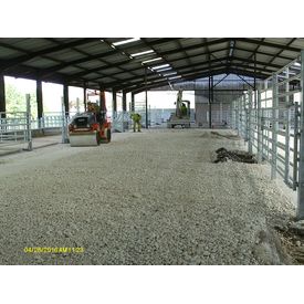 Working in the Cattle Shed